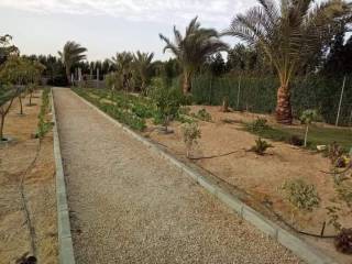 ارض زراعيه للبيع بالواحات البحريه تصلح كل الزراعات