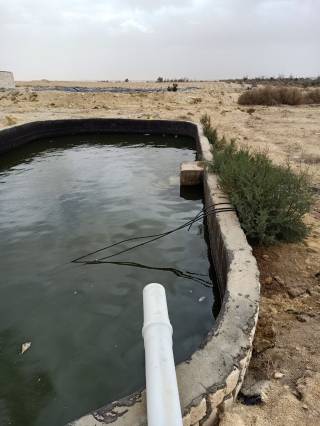 للبيع 15 فدان عقد اخضر وليها بطاقه حيازه زراعيه
