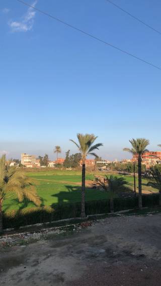 ارض زراعيه في موقع متميز على الإسكندرية الزراعي