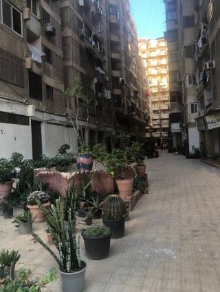 شقة للايجار بجناكليس تصلح سكني أو اداري