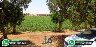 إمتلك مزرعتك دلوقتي بأقل مقدم في مصر
