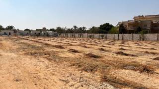 مزرعة رائعة 200 فدان للبيع مصر اسكندرية الصحراوى