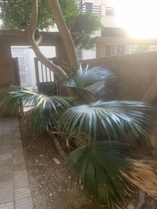 أرض في 3 مكرر شارع امير البحار محمود حمزة للبيع 2