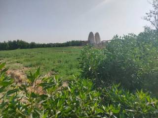 مزرعة للبيع بالفيوم 10 فدان