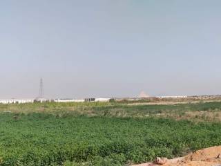 مزرعه 10 للبيع ملك مسجل نهائي