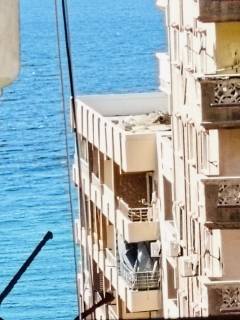 سكني او استثماري بشارع هادئ وراقي 3