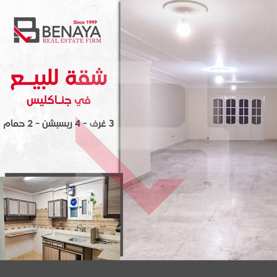 شقة للبيع 200 متر جناكليس خطوات من شارع ابو قير 1