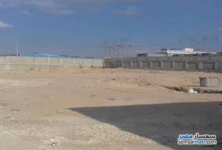 Commercial Lands for sale Suez Canal Economic Zo