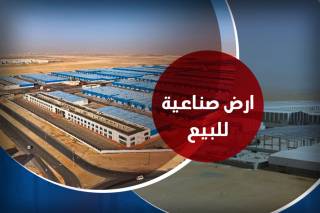 ارض صناعية للبيع 6160 متر النهضة الصناعية