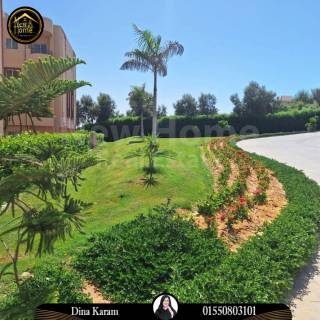 شاليه البيع في بورتو جولف في عمارة 54
