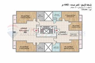 شقة للبيع 315 متر كفرعبده ش قرداحي