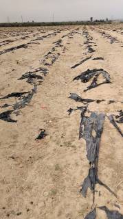 مزرعه 100 فدان للبيع