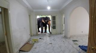 مكتب للإيجار فى الدقى 180م خطوات من شارع الدقى الرئيسى