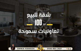 شقة للإيجار 220 متر سموحة ابراج صفوة سموحة