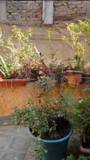 شقة للايجار فى المهندسين 100م تفرعات البطل أحمد