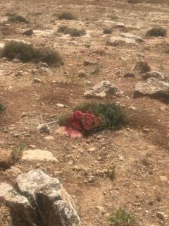 قطعة أرض مميزة للبيع في شفا بدران على شارعين وبسعر مغري