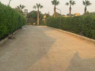 ارض للبيع في كمبوند وادي النخيل بالطريق الصحراوي