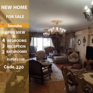 شقة للبيع 208 متر سموحه شارع البرت الاول