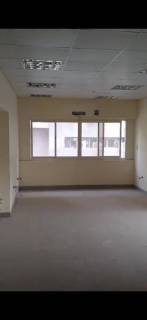 فرصة عظيمة وقوية لاصحاب الشركات الضخمة