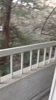 مكتب للايجار خلف مسجد مصطفى محمود 160م