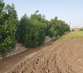 ارض مميزة على طريق ههيا الابراهيمية الرئيسى