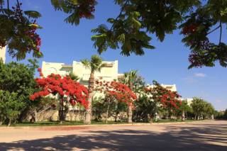 شاليه أرضي بجاردن للبيع أغادير 285 متر