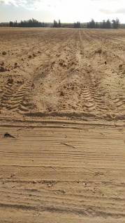 مزرعه100فدان فى وادى النطرون