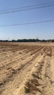 9 فدان للبيع فى وادى النطرون