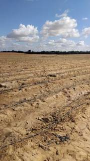 مزرعه45فدان للبيع فى وادى النطرون