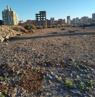 ارض مباني 205 متر بجوار جامعة السلاب و كافي ليڤل