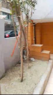 مكتب 5غرف 250م ارضي مدخل خاص بالقرب من ش جده الدقي