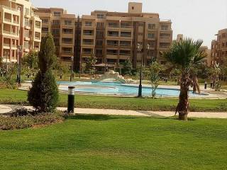 اسكن في دجله بالمز