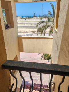 ستوديو للبيع سليبريشن 55 م