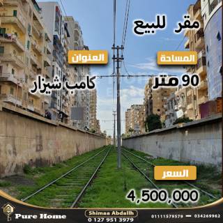 شقة مفروشة للايجار كامب شيزار علي البحر